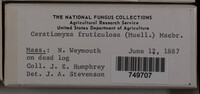 Image Associated With the Occurence